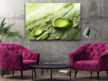 Obraz Kvapka rosy 1458